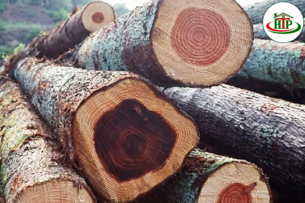 Gỗ Gụ Mỹ Nghệ Tinh Xảo, Đậm Bản Sắc Gỗ Gụ Mỹ Nghệ